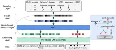 Exploring the effects of drug, disease, and protein dependencies on biomedical named entity recognition: A comparative analysis